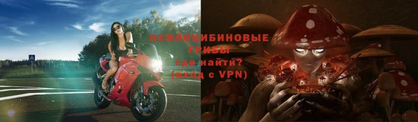 MESCALINE Северская