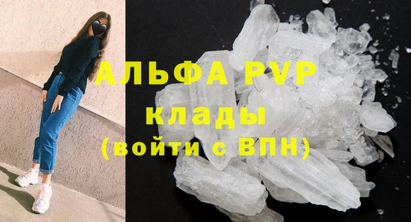 дурь Болохово