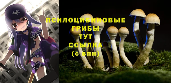 экстази Кочубеевское