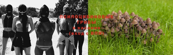 марихуана Нефтекумск