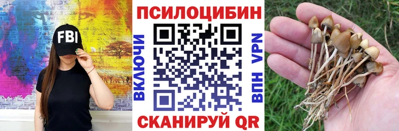 Псилоцибиновые грибы мицелий  Кисловодск 