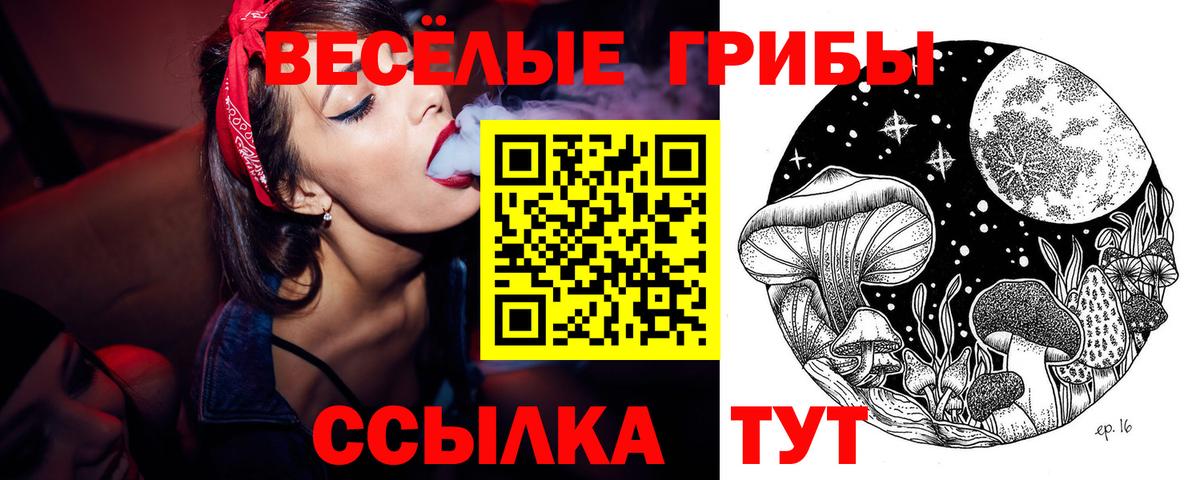 Кисловодск  Псилоцибиновые грибы Psilocybine cubensis  Вход с VPN 