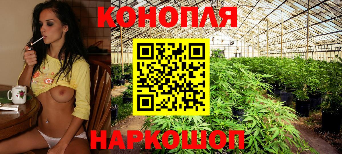 Каннабис сатива  Вход с VPN  Каннабис семена  Кисловодск  Марихуана Ganja 